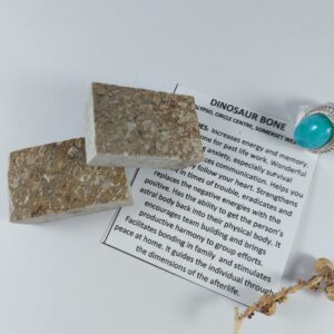Polished Dinosaur fossilised Bone rectangles