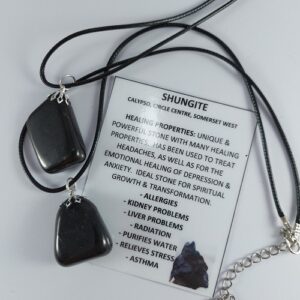 Shungite Tumblestone bellcap pendant necklace on a woven cord