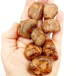 Starburst Jasper Tumblestones