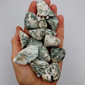 Tree Agate Tumblestones