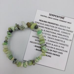 Brace Chip Serpentine Bangle