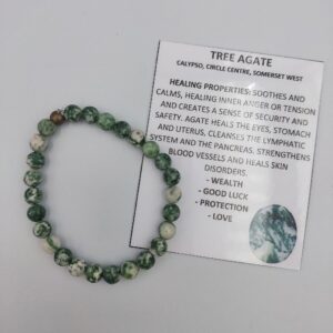 Tree Agate Bracelet 6mm