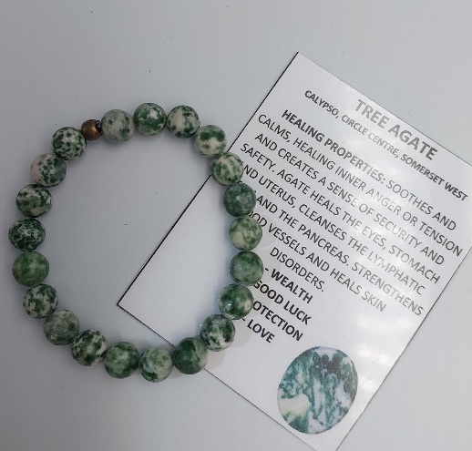 Tree Agate Bracelet 8mm