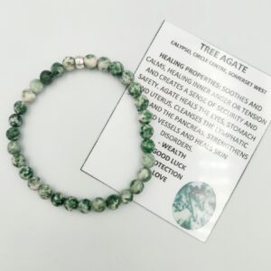 Tree Agate Bracelet 6mm