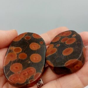 Peanut Ocean Jasper Palmstone 5.5cm