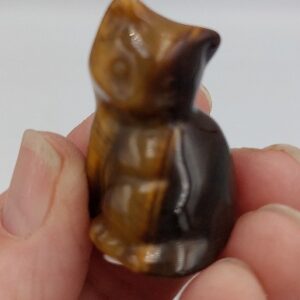 Tigers Eye Cat