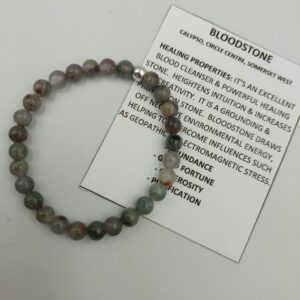 Swazi Bloodstone Bracelet with 6mm beads