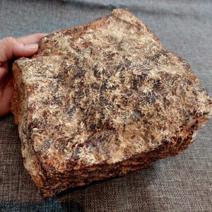 Raw Starburst Jasper 3547g