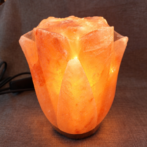 rose lamp